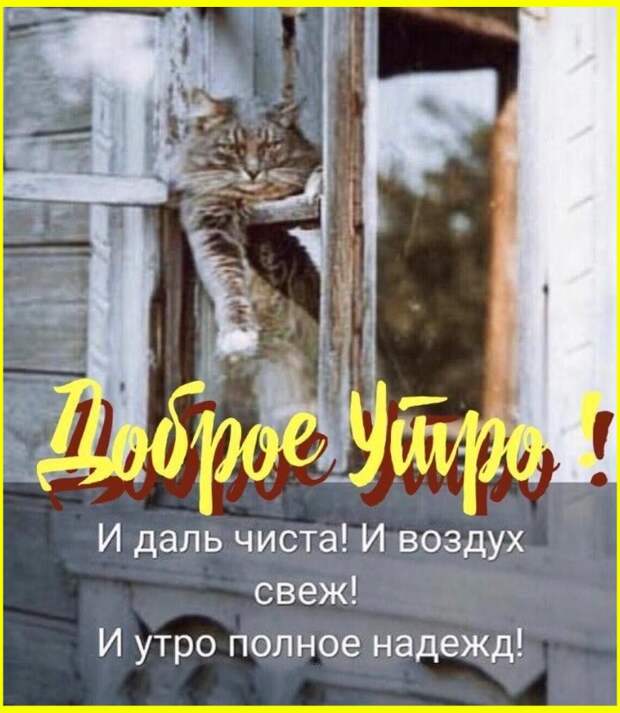 Утренний юморок