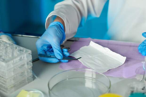 Источник фото: пресс-служба НИТУ МИСИС