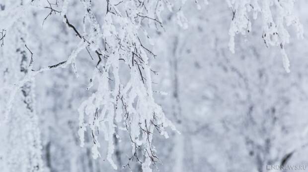 На Челябинскую область вновь обрушатся 30-градусные морозы