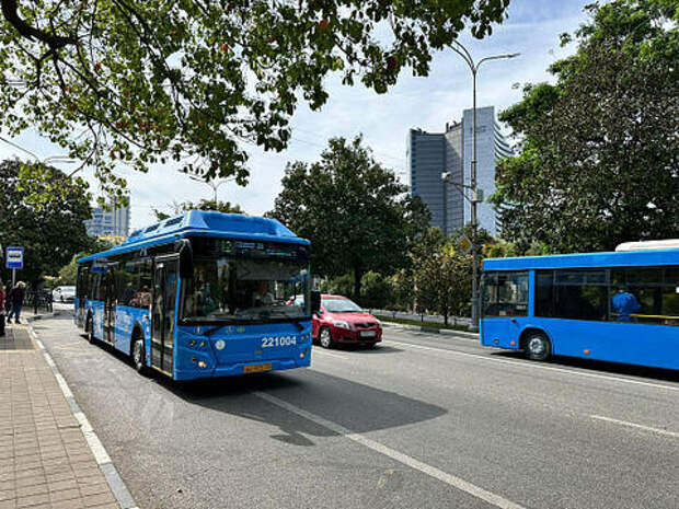С начала лета в Сочи автобусы между центром города и аэропортом будут ходить круглосуточно