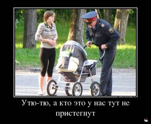 Блоги.  -  