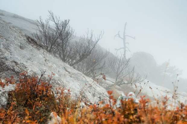 Осень в Крыму и Карпатах (103 фото)