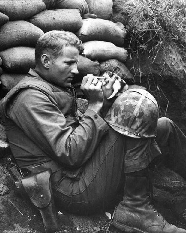 Больше, чем просто фотография. Часть 12. (50 фото)