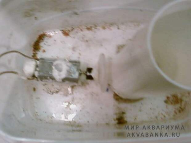 Автоматическая кормушка своми руками Автоматическая кормушка своми руками