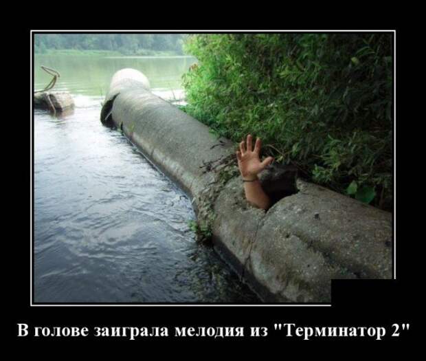 Демотиватор про Терминатора