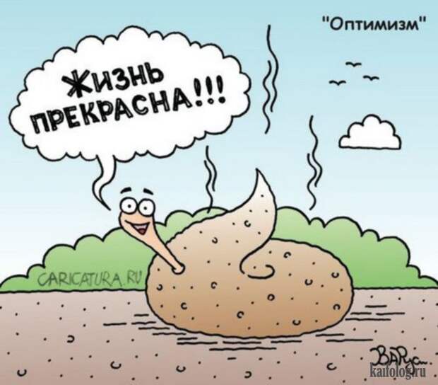 Веселые картинки (60 картинок)
