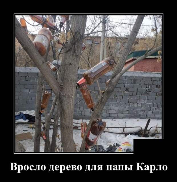 Демотиватор про Буратино