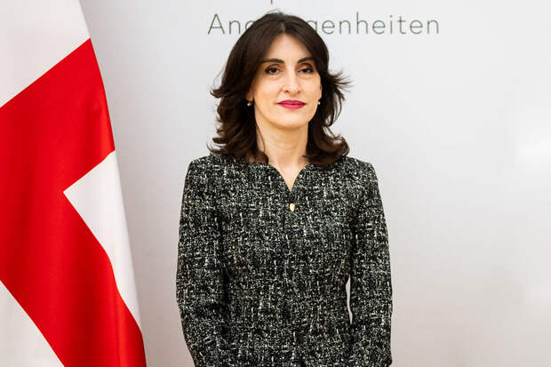 Глава МИД Бочоришвили: санкции Грузии против России ударили бы по Тбилиси