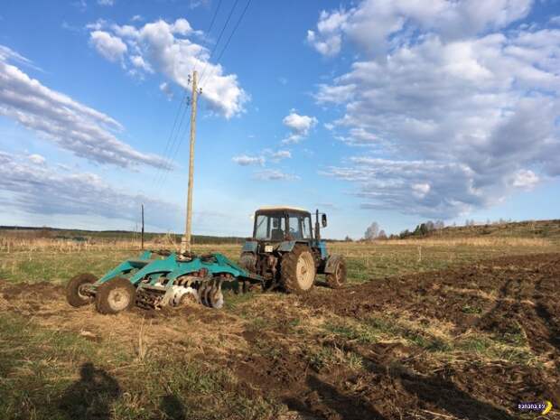 Российский фермер честно про белорусские тракторы