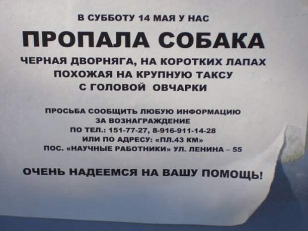 ТОП самых забавных объявлений: читаем и улыбаемся!