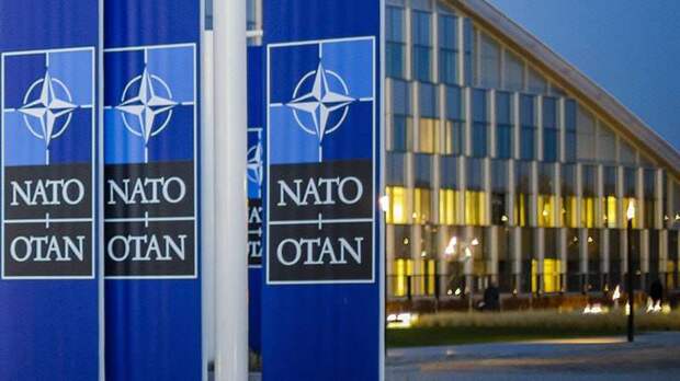 Политолог Гаспарян оценил перспективу вступления Швеции и Финляндии в НАТО