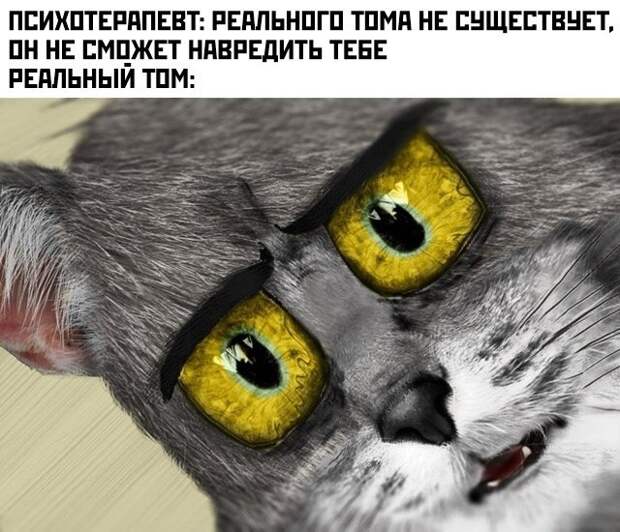 www.vsyako.net