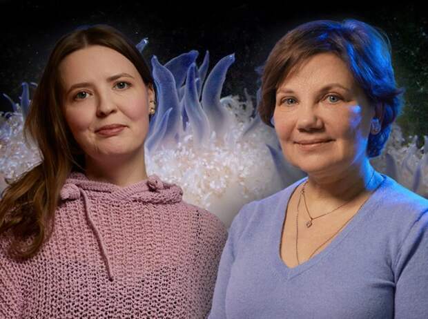 Когда медуза засыпает: нейробиолог Варвара Дьяконова о сне, репарации ДНК и эволюции нервной системы