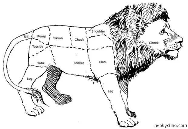Схема разделки туши оленя