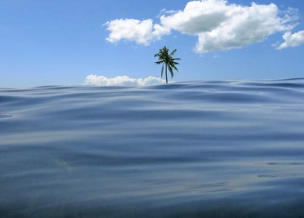 Ученые обнаружили на Земле тревожную аномалию: обновление жизни в экосистемах стало замедляться