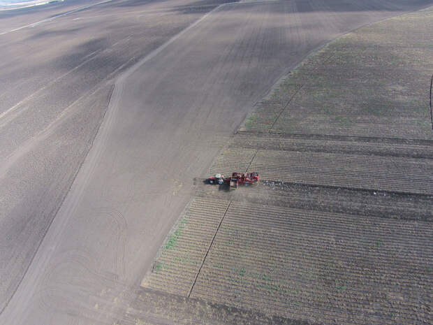 110 Как производят чипсы Lays