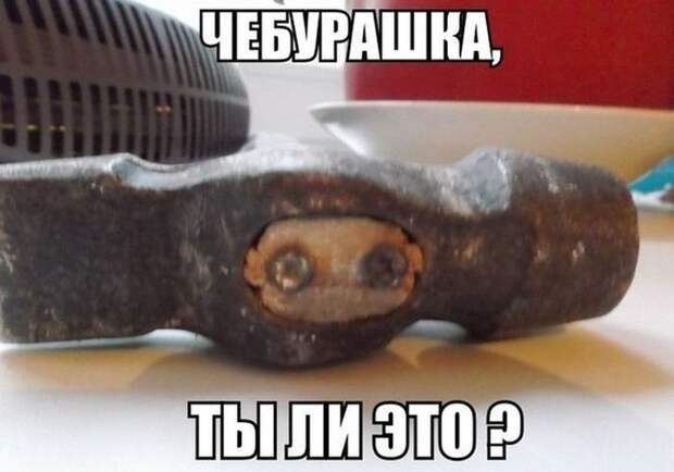 Весёлые картинки, этакие всяческие плюс одна поучительная Весёлые картинки, этакие всяческие плюс одна поучительная