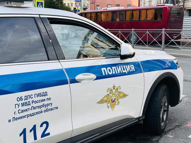 В один день в Петербурге и Ленобласти поймали двух телефонных мошенников