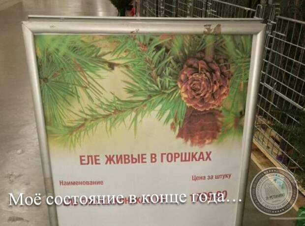 Моё состояние в конце года