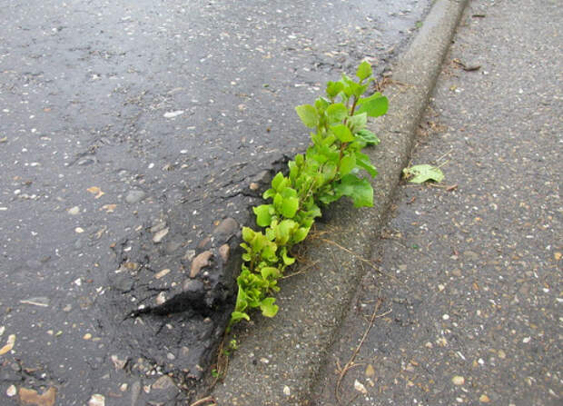 24 фото, доказывающих, что самая большая сила на Земле - природа, а не люди