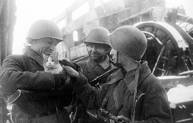 Животные помогали победить Красной Армии