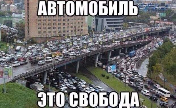 Подборка веселых картинок с подписями (20 фото)