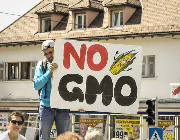 No GMO!