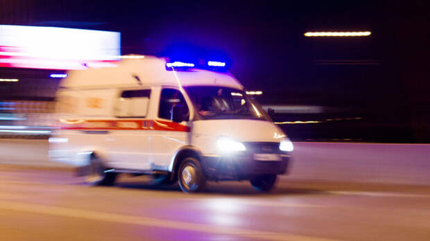 Пять человек в Тольятти пострадали при падении деревьев из-за порывов ветра