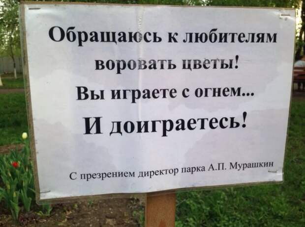Смешные объявления, приколы в рекламе