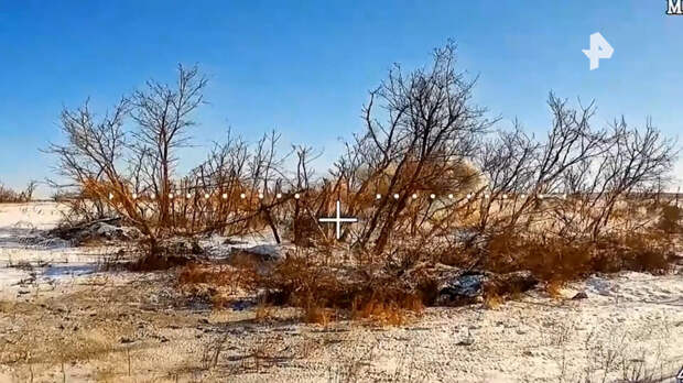 Минобороны показало кадры освобождения Зеленого в Харьковской области