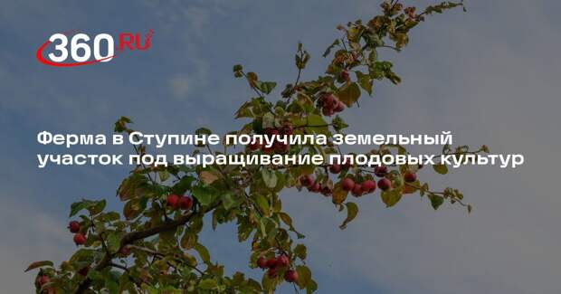 Ферма в Ступине получила земельный участок под выращивание плодовых культур