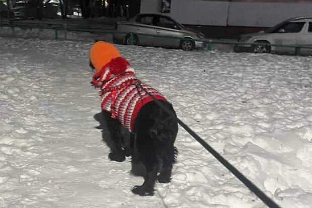 Прогноз погоды на 17-18 января в Новосибирске сделали синоптики