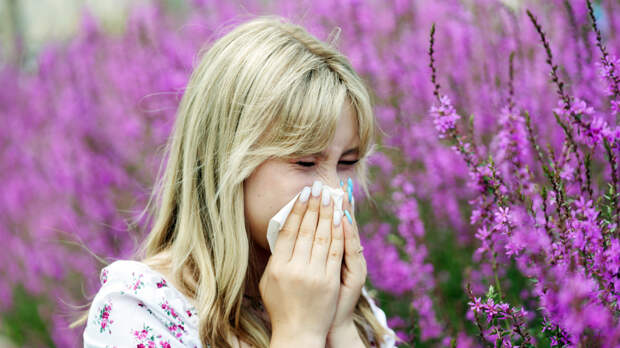 Ранний удар пыльцы: весна обещает быть тяжелой для аллергиков