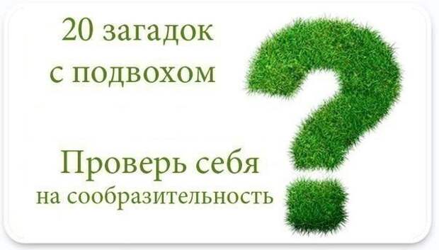 20 загадок с подвохом, изображение №1