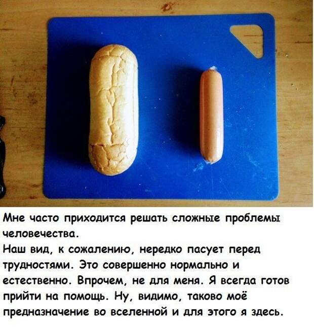 Кулинарный рецепт для любителей хот-догов