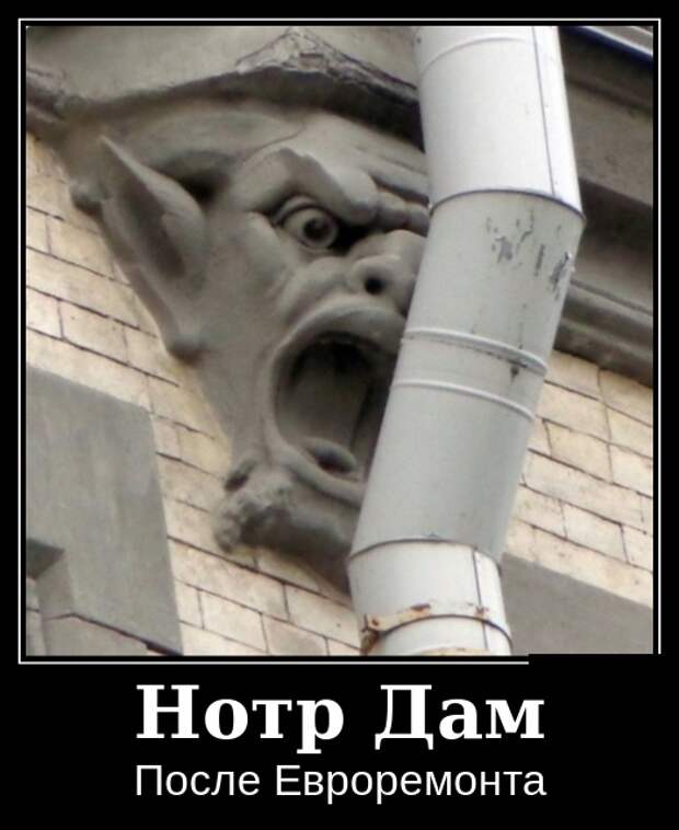 Демотиваторы (30 фото)