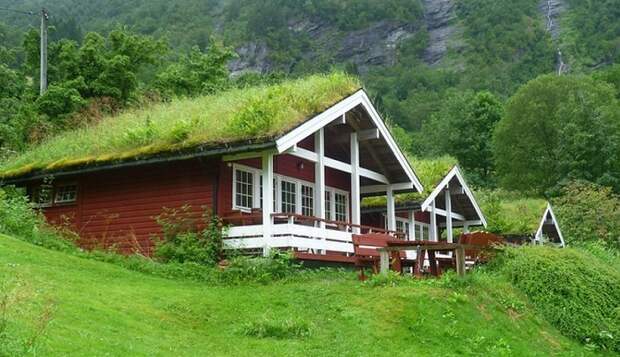 Зачем в Скандинавии на крышах домов высаживают траву