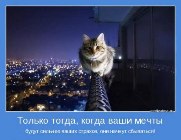 Мотиваторы. Побеждай и будешь лучшим!