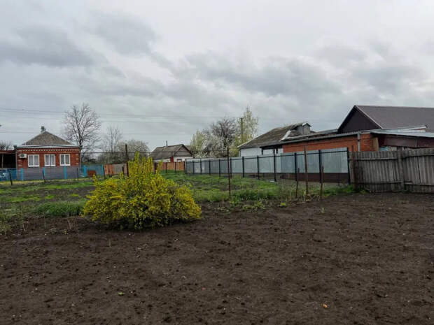 Срочно хватайтесь за семена: лунный календарь на 13–15 апреля сулит бешеный рост именно этим культурам