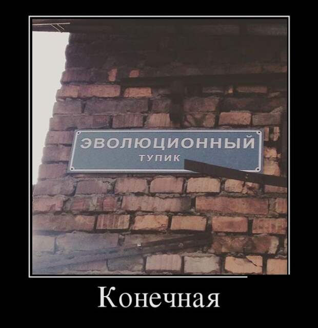 Демотиваторы (30 фото)