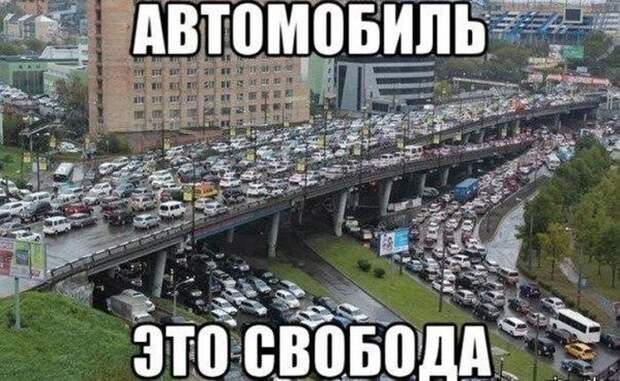 Прикольные картинки