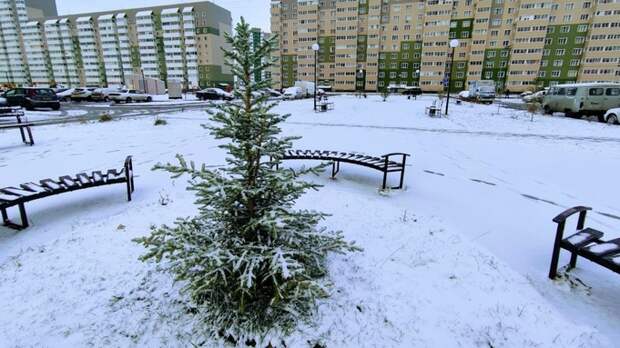 До +1 и ветер. О погоде в Барнауле 10 января