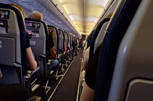 В США «слишком крупную» женщину заставили заплатить за два места в самолете