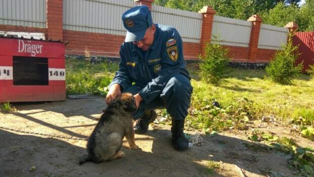 Сотрудники МЧС каждый день приезжали в пустой дом, чтобы покормить когда-то спасенную ими собаку... И это закончилось очень неожиданно!