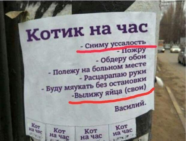Уморительные объявления, которые могли придумать только наши земляки Уморительные объявления, которые могли придумать только наши земляки