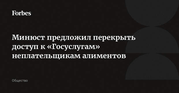 Минюст предложил перекрыть доступ к «Госуслугам» неплательщикам алиментов