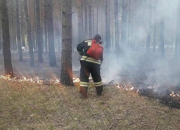 Тушение лесного пожара