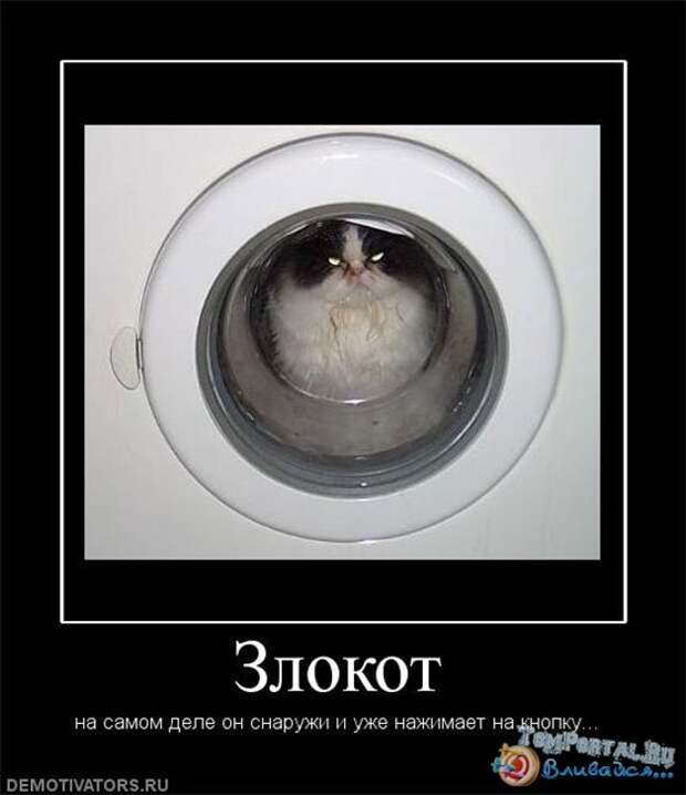 Позитивные демотиваторы про животных (20 фото) Позитивные демотиваторы про животных (20 фото)