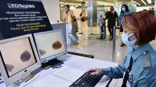 При вывозе из России более $10 тысяч в ЕАЭС могут начать требовать указывать источник денег