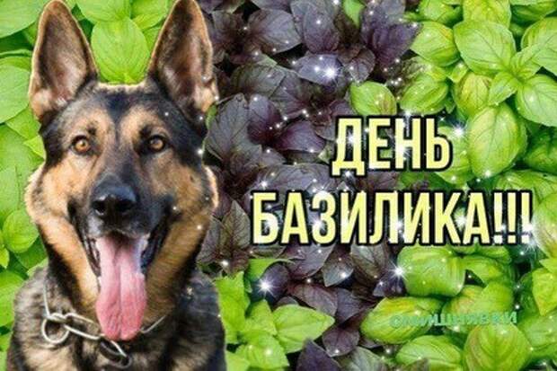 Дурацкие открытки в мессенджерах